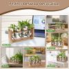 3 Heart Shaped Vases Wooden Stand Desktop Air Planter