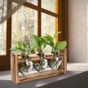 3 Heart Shaped Vases Wooden Stand Desktop Air Planter