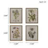 4-piece Botanical Illustration Framed Canvas Wall Art Set