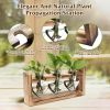 3 Heart Shaped Vases Wooden Stand Desktop Air Planter