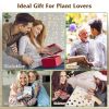 3 Heart Shaped Vases Wooden Stand Desktop Air Planter