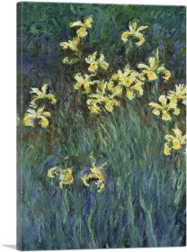 Yellow Irises (Type: Standard Framed Canvas Print, size: 16" x 12" / 42cm x 30cm (approx))